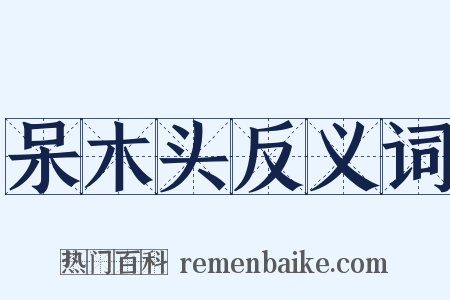 呆木头反义词是什么意思的图片